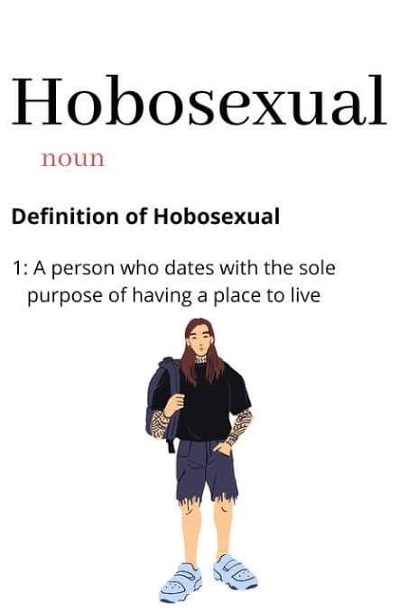 Hobosexual